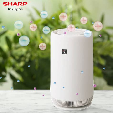 sharp plasmacluster ion air purifiers essential    normal   cup  hot cocoa