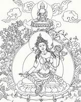 Drawing Buddhas Buddha Line Bodhisattvas Book Getdrawings Face sketch template