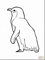 Penguin Coloring King Getcolorings Little Blue sketch template