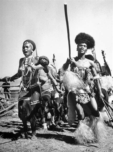 Africa Zulu Dancing In A Ceremony South Africa Ca