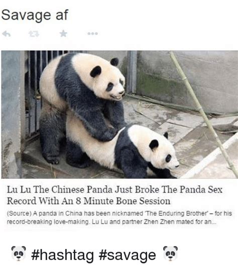 🔥 25 Best Memes About Panda Sex Panda Sex Memes