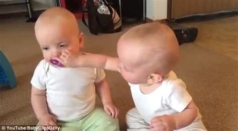 viral video shows cute twin babies fighting   pacifier lifenewscom