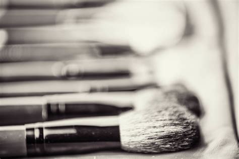 day  makeup brushes  pain  clean   caught flickr