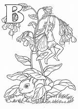 Elfjes Elfen Alfabet Alphabet Ausmalbilder Hadas Malvorlagen Volwassenen Coloriage Animaatjes Blumen Kleurplaatjes Jung Kleuren Bloemen Bluebell Lapin Elven Erwachsene Elfes sketch template