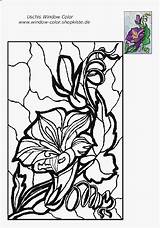 Vorlagen Fensterbilder Uschis Malvorlagen Vetri Blume Vorlage Besuchen Siwicadilly Auswählen sketch template