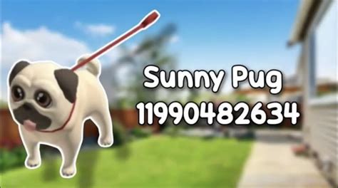 sunny pug   roblox funny pugs coding