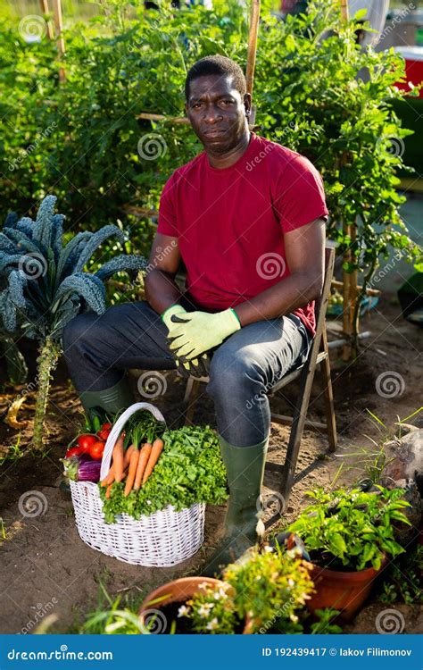 retrato  agricultor americano africano  cesto de vegetais maduros