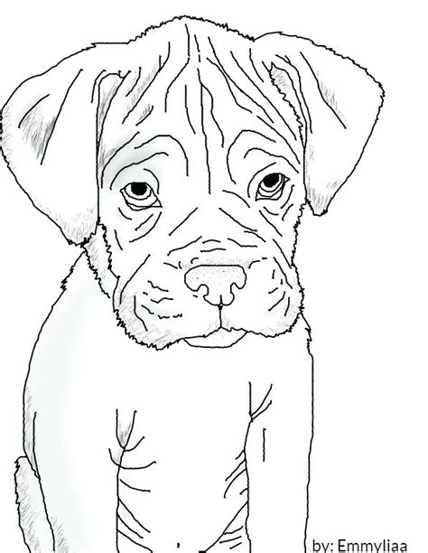 boxer puppy coloring pages  getdrawings