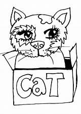 Fluffy Kitty Katzen Ausmalbilder Tekening Malbuch Ausdrucken Markers sketch template