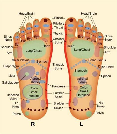 how to do your own reflexology foot massage at home massage gear guru