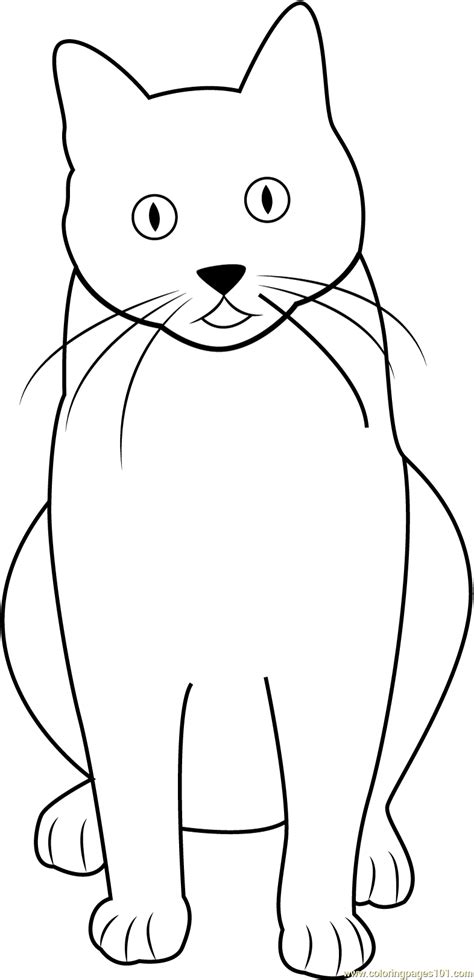 cat sitting    coloring page  kids  cat printable