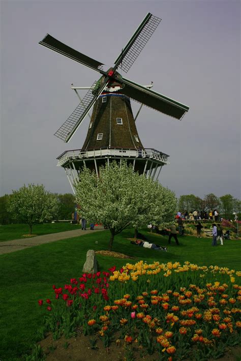 de zwaan   distance de zwaan authentic dutch windmill flickr