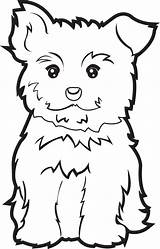Yorkie Yorkshire Poo Pup Maltese Cliparts Gograph Pluspng sketch template