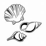 Mussel Muscheln Malvorlagen Cozza Fensterbilder Muschel Ausdrucken Malvorlage Molluschi Moules Mussels Spade Printmania Designlooter 99kb sketch template