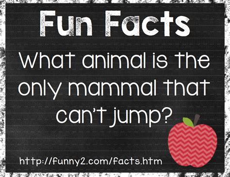 fun facts website thehappyteacher