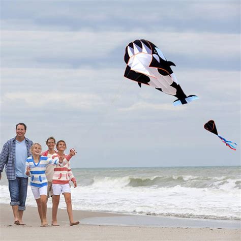 2020 Huge 3d Kite Frameless Soft Parafoil Giant Whale Flying Kite