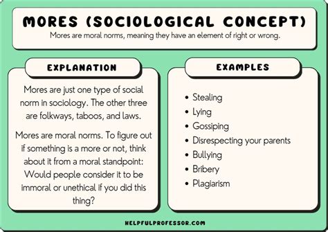 examples  mores  sociology  helpful professor