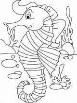 Seahorse Coloring Pages Printable Horse Kids Seahorses Safety Sea Worksheets Colouring Sheet Everfreecoloring Worksheeto Powered Results sketch template