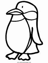 Pinguine Pinguini Penguin Pinguino Animali Pinguins Pinguinos Kolorowanki Head Ausmalen Sundae Malvorlage Ahiva Pingwiny Drukuj Aprenden Divierten Juegan Druku Colorido sketch template