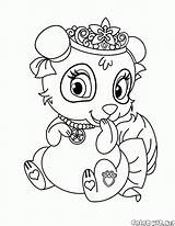 Panda Coloring Pages Pets Colorkid Girls sketch template