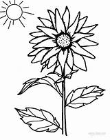 Sunflower Coloring Pages Printable Kids sketch template