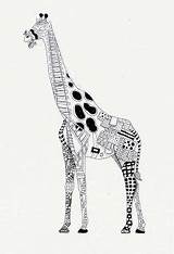 Zentangle Efie Kwok Giraffe Ben sketch template