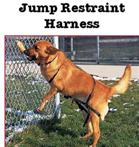jump restraint harness  dogs prevents jumping pets trend store