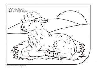 colouring  picture   cute spring lamb