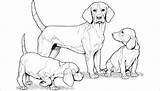 Dog Coloring Colouring Pages Breed Templates Dogs sketch template