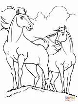 Spirit Coloring Horse Pages Visit Bilderesultat sketch template