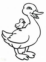 Coloring Pages Duck Duckling Goose Kids Drawing Ducks Goosebumps Canada Printable Ugly Horrorland Getcolorings Cute Oregon Getdrawings Baby Color Clipartmag sketch template