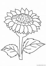 Coloring Sunflower Pages Printable Coloring4free Kids Related Posts sketch template