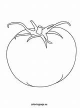 Tomato Coloring Tomatoes Drawing Getdrawings Coloringpage Eu sketch template