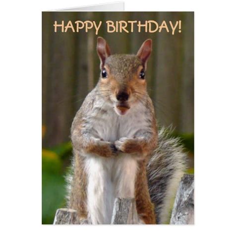cute squirrel happy birthday card zazzle