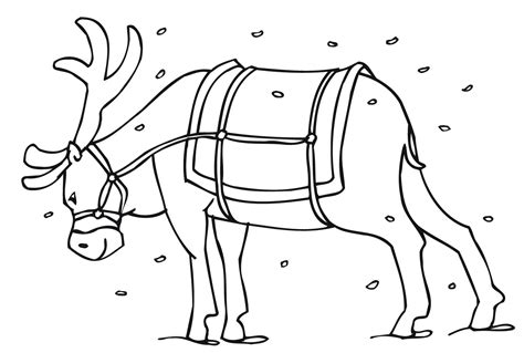 printable reindeer coloring pages  kids