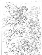 Coloring Pages Fairy Adults Dover Color Publications Books Chrysanthemum Welcome Samples Doverpublications Zb Hard Musings Inkspired Fairies Printable Coloriage Flowers sketch template