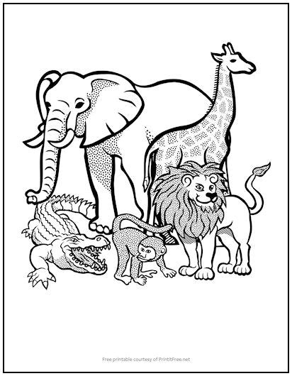 african animals kids coloring page print