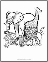 African Animals Coloring Kids Color Educational Elephant Featuring Well Fun Only But sketch template