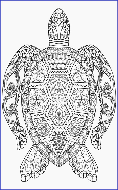 adult coloring page turtle   turtle coloring pages mandala