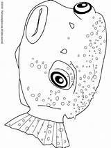 Pufferfish Coloring Pages Kids Drawing Audio Stories Getdrawings Lightupyourbrain sketch template