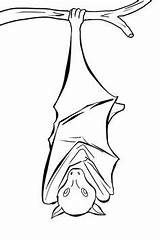 Upside Coloring4free Bats Everfreecoloring 775d Fledermaus sketch template