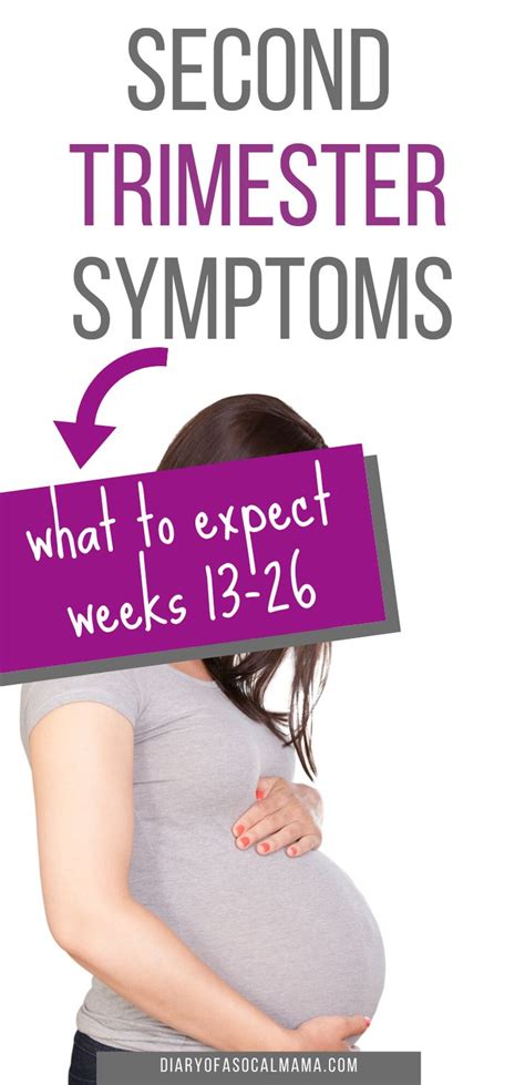 pin on pregnancy 2nd trimester