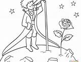 Little Prince Coloring Pages Printable Drawing sketch template