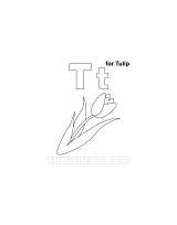 Coloring Tt Letter Printable Pages Tulip sketch template