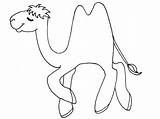 Camel Coloring Pages Printable Preschool Egyptian Clipart Kids Egypt Activities Children Library Arts Students sketch template