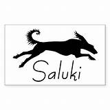 Saluki Rectangle sketch template