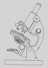 Microscope Mikroskop Compound Clker Unlabeled Microscopes Ausmalbilder Spielzeug Electron Laboratorium Seni Garis Ilustrasi صوره Webstockreview I2clipart Instrumente Malvorlagen Gratis Linia sketch template