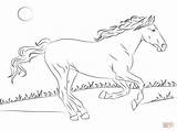 Horse Trailer Pages Coloring Getdrawings Drawing sketch template