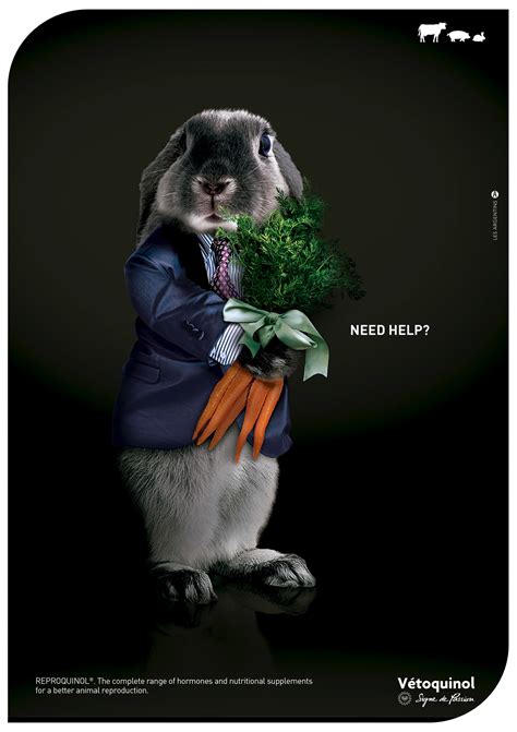 creative design inspirations  award winning print ads