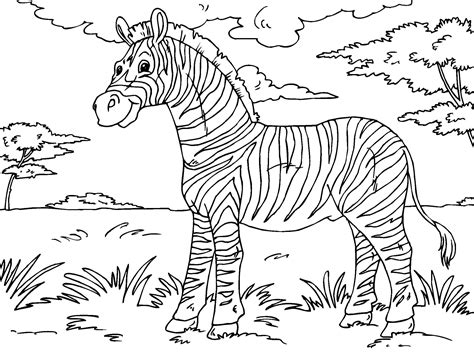 printable zebra coloring pages  kids animal place